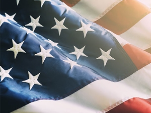 Effect of Conviction on Immigration Status Image